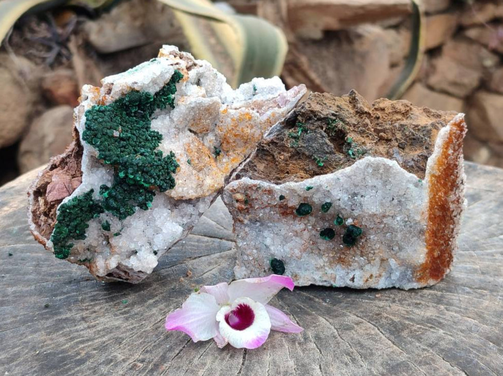 Natural Silky Ball Malachite and Drusy Quartz On Dolomite Matrix Specimens x 2 From Mindingi Mine, Kambove, Congo - Toprock Gemstones and Minerals 