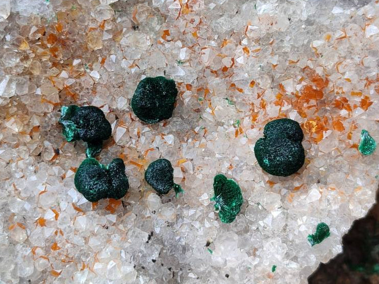 Natural Silky Ball Malachite and Drusy Quartz On Dolomite Matrix Specimens x 2 From Mindingi Mine, Kambove, Congo - Toprock Gemstones and Minerals 