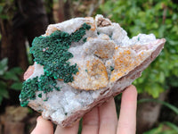 Natural Silky Ball Malachite and Drusy Quartz On Dolomite Matrix Specimens x 2 From Mindingi Mine, Kambove, Congo