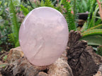 Polished Gemmy Rose Quartz Standing Free Form x 1 From Madagascar - Toprock Gemstones and Minerals 