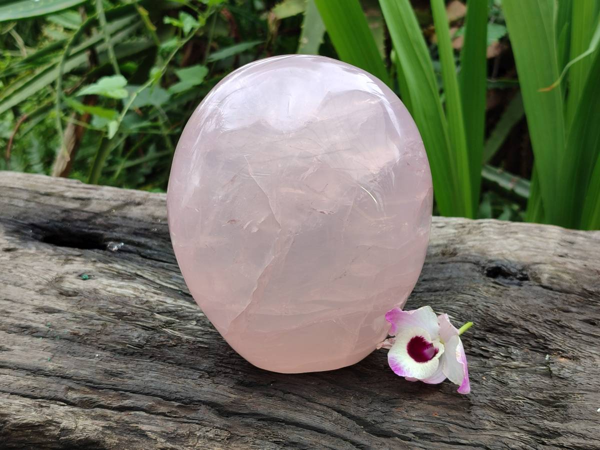 Polished Gemmy Rose Quartz Standing Free Form x 1 From Madagascar - Toprock Gemstones and Minerals 