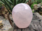Polished Gemmy Rose Quartz Standing Free Form x 1 From Madagascar - Toprock Gemstones and Minerals 