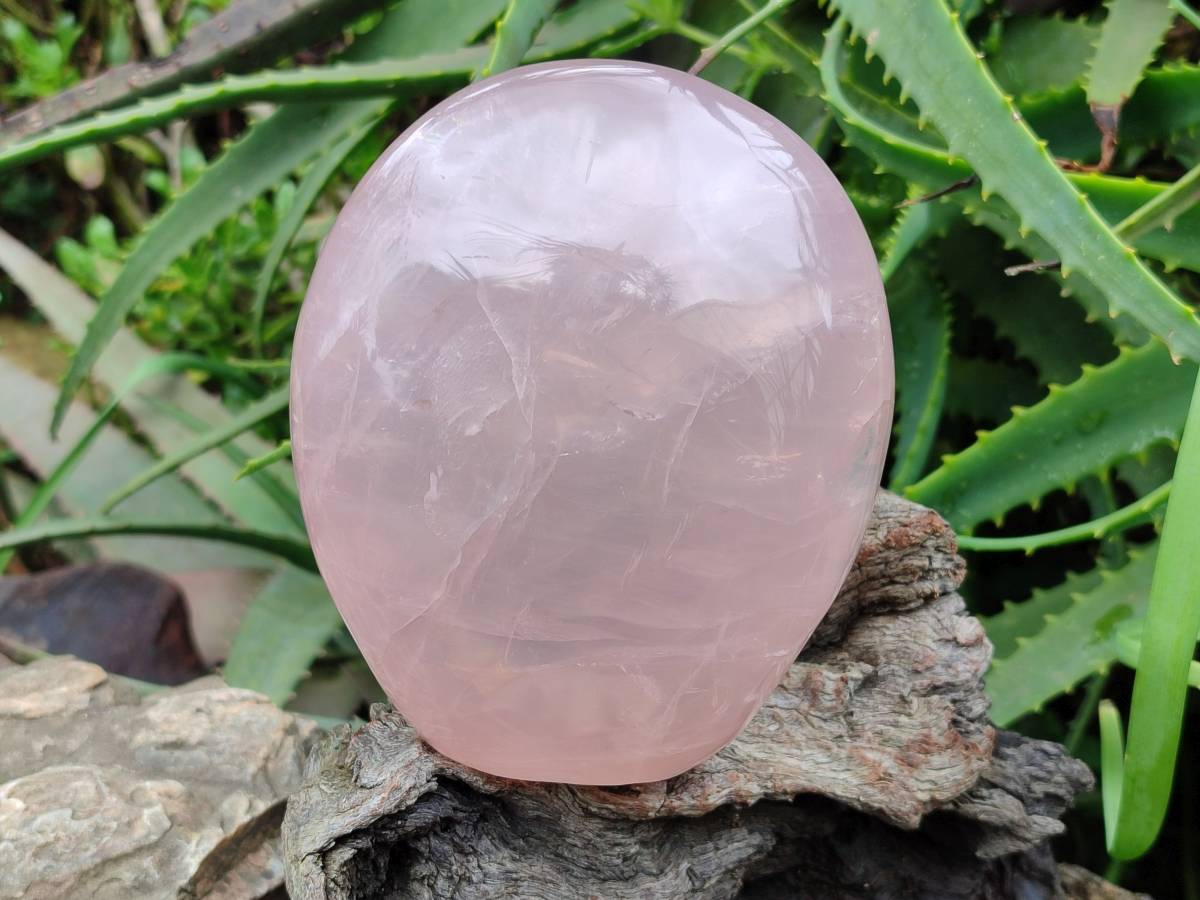 Polished Gemmy Rose Quartz Standing Free Form x 1 From Madagascar - Toprock Gemstones and Minerals 
