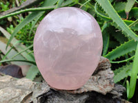 Polished Gemmy Rose Quartz Standing Free Form x 1 From Madagascar