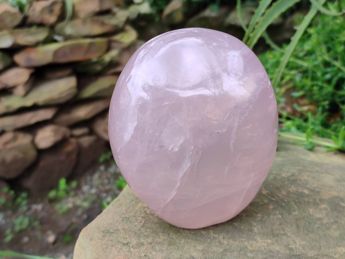Polished Gemmy Rose Quartz Standing Free Form x 1 From Madagascar - Toprock Gemstones and Minerals 