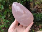 Polished Gemmy Rose Quartz Standing Free Form x 1 From Madagascar - Toprock Gemstones and Minerals 