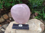 Polished Gemmy Rose Quartz Standing Free Form x 1 From Madagascar - Toprock Gemstones and Minerals 