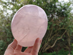 Polished Gemmy Rose Quartz Standing Free Form x 1 From Madagascar - Toprock Gemstones and Minerals 