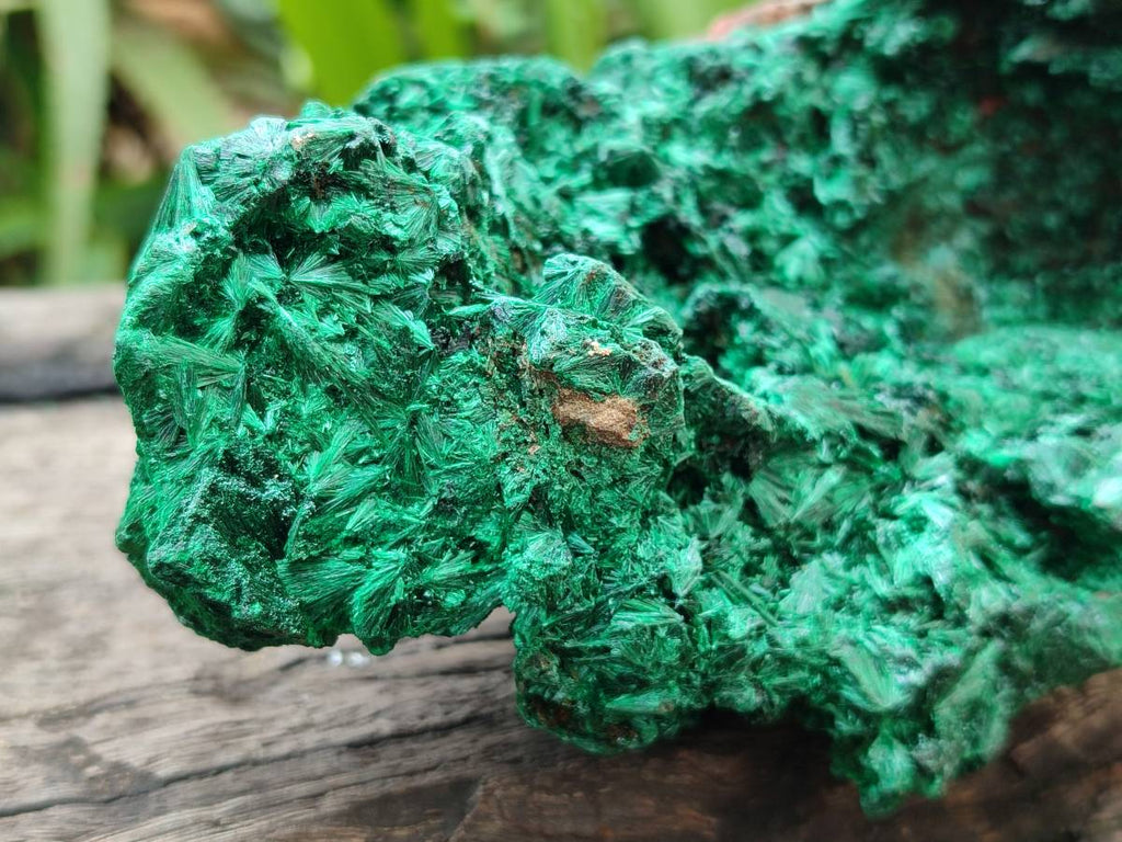 Natural Silky Malachite Specimens x 2 From Kasompe, Congo - Toprock Gemstones and Minerals 