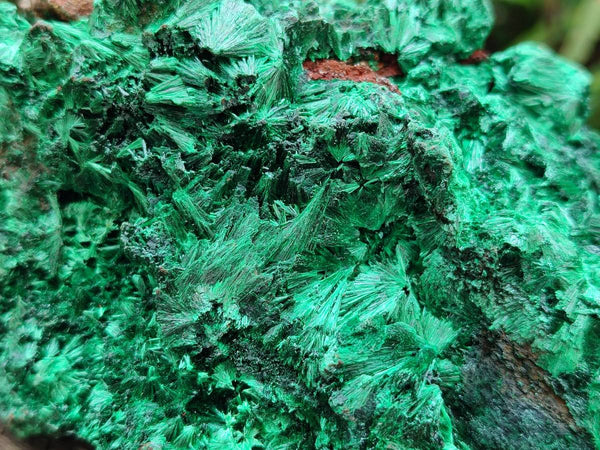 Natural Silky Malachite Specimens x 2 From Kasompe, Congo