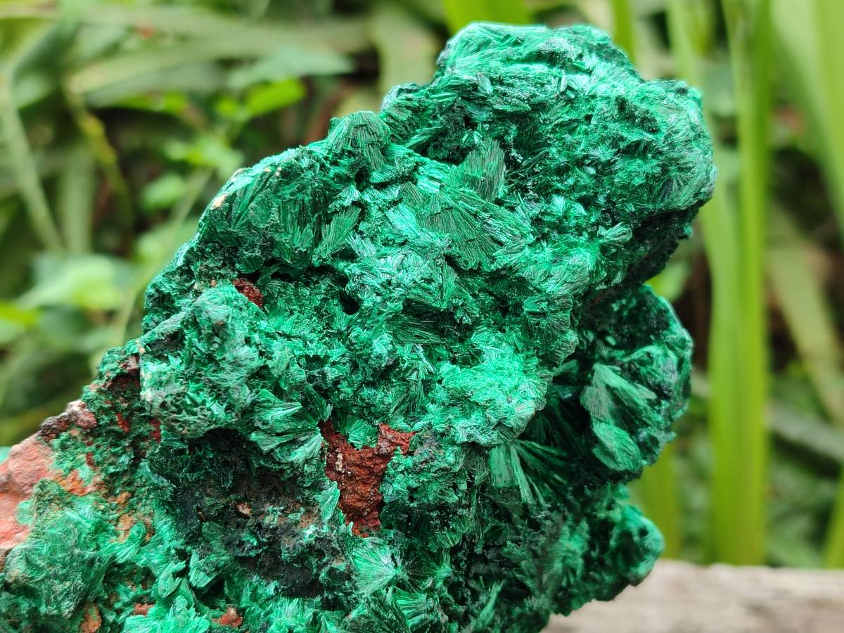 Natural Silky Malachite Specimens x 2 From Kasompe, Congo - Toprock Gemstones and Minerals 