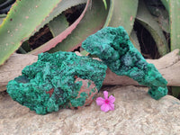 Natural Silky Malachite Specimens x 2 From Kasompe, Congo