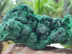 Natural Silky Malachite Specimens x 2 From Kasompe, Congo - Toprock Gemstones and Minerals 