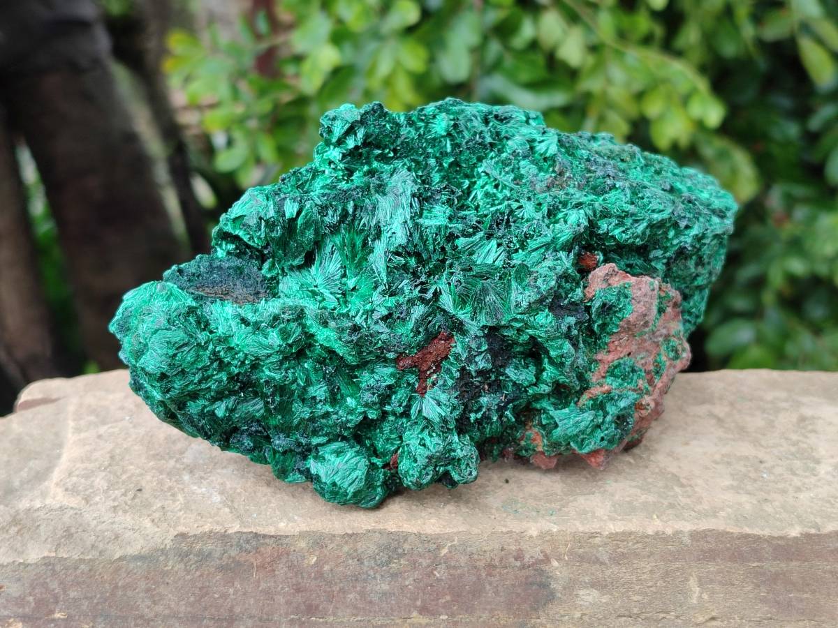 Natural Silky Malachite Specimens x 2 From Kasompe, Congo - Toprock Gemstones and Minerals 