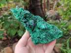 Natural Silky Malachite Specimens x 2 From Kasompe, Congo - Toprock Gemstones and Minerals 