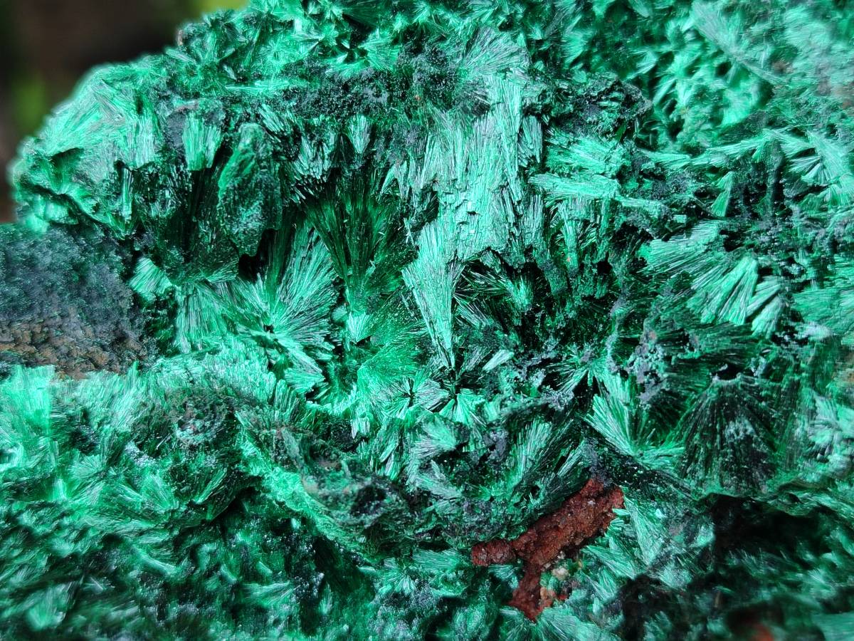 Natural Silky Malachite Specimens x 2 From Kasompe, Congo - Toprock Gemstones and Minerals 