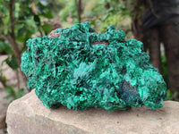 Natural Silky Malachite Specimens x 2 From Kasompe, Congo