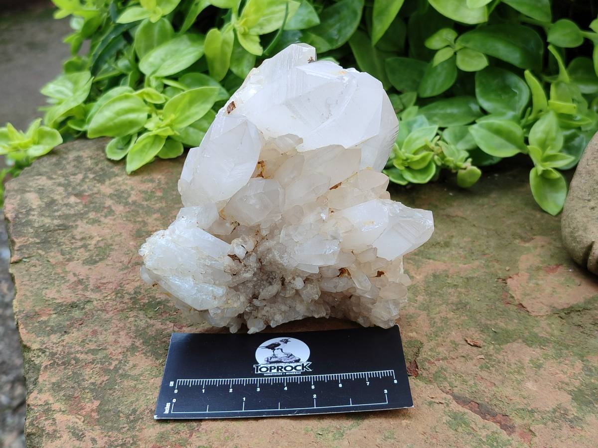 Natural Quartz Crystal Clusters x 4 From Madagascar - Toprock Gemstones and Minerals 