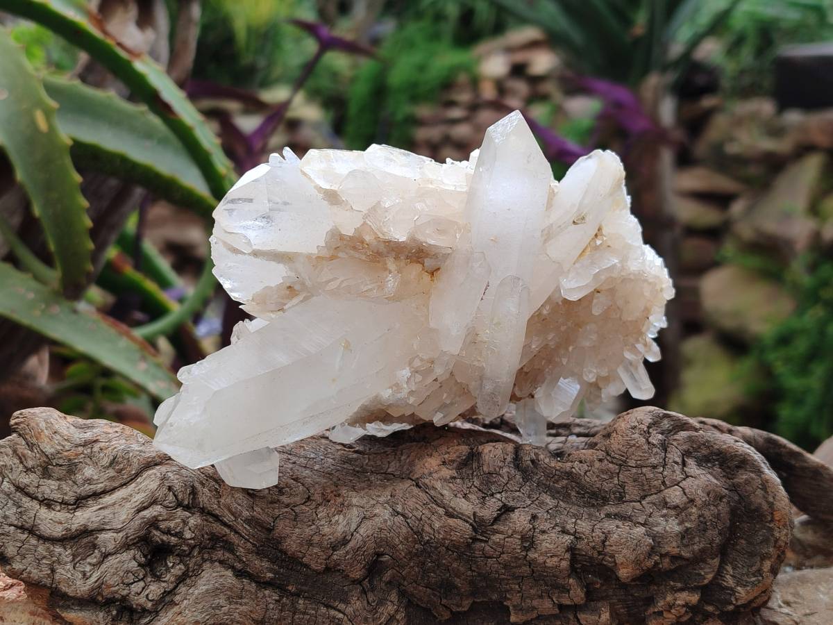 Natural Quartz Crystal Clusters x 4 From Madagascar - Toprock Gemstones and Minerals 