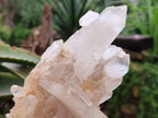 Natural Quartz Crystal Clusters x 4 From Madagascar - Toprock Gemstones and Minerals 
