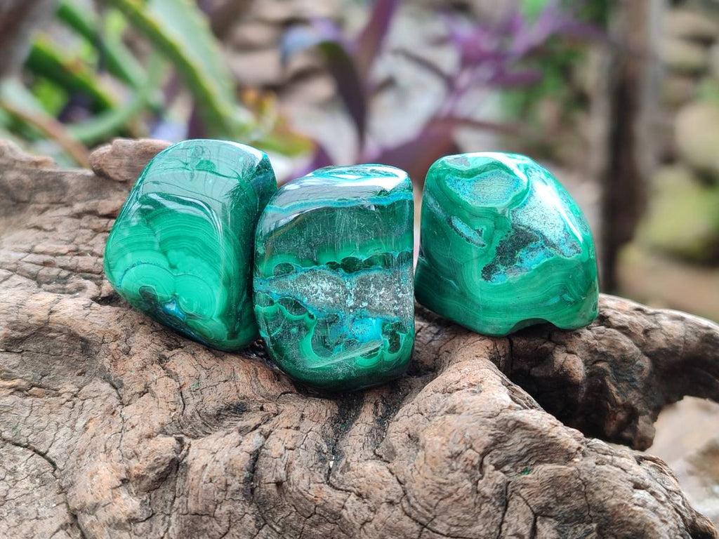 Polished Malacolla Free Forms x 35 From Kulukuluku, Congo - Toprock Gemstones and Minerals 