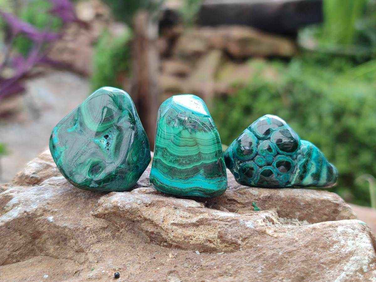 Polished Malacolla Free Forms x 35 From Kulukuluku, Congo - Toprock Gemstones and Minerals 