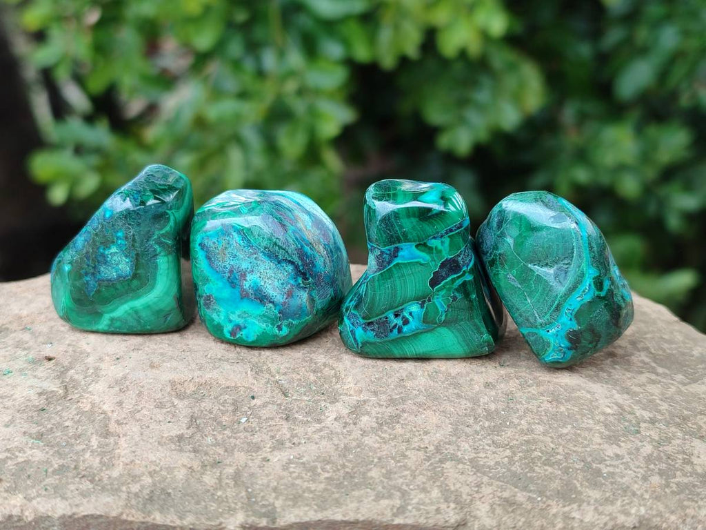 Polished Malacolla Free Forms x 35 From Kulukuluku, Congo - Toprock Gemstones and Minerals 