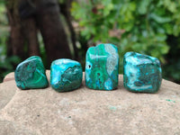 Polished Malacolla Free Forms x 35 From Kulukuluku, Congo
