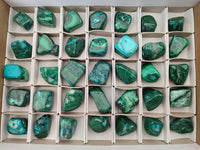 Polished Malacolla Free Forms x 35 From Kulukuluku, Congo