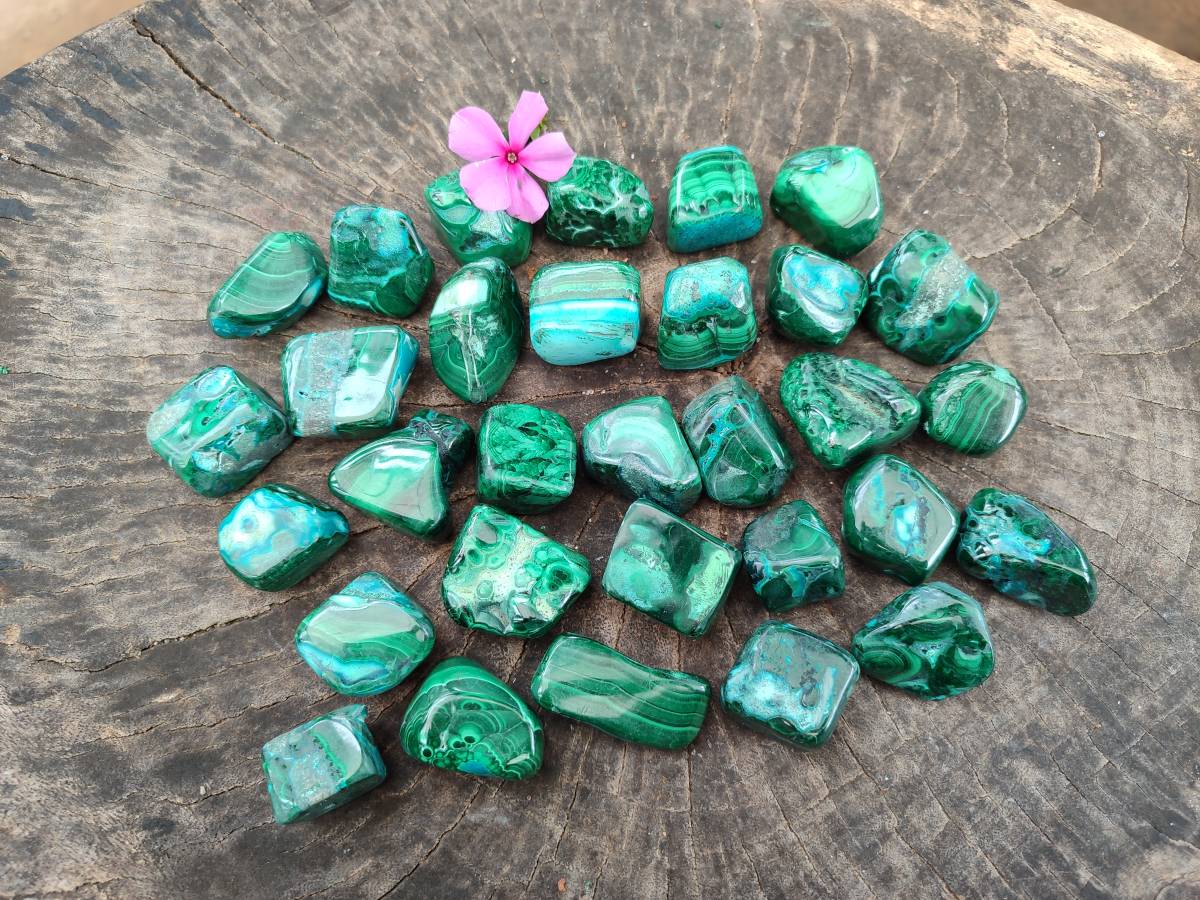 Polished Malacolla Free Forms x 35 From Kulukuluku, Congo - Toprock Gemstones and Minerals 