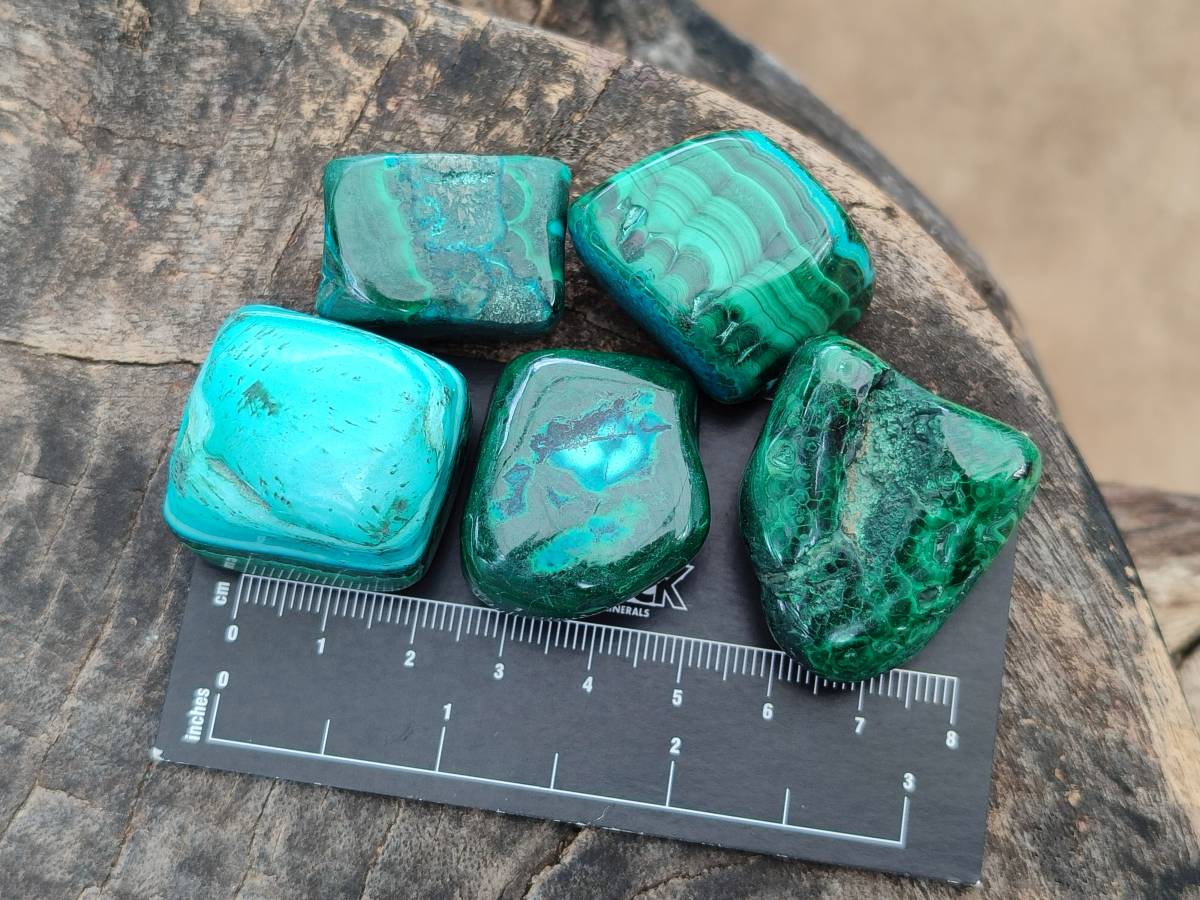 Polished Malacolla Free Forms x 35 From Kulukuluku, Congo - Toprock Gemstones and Minerals 