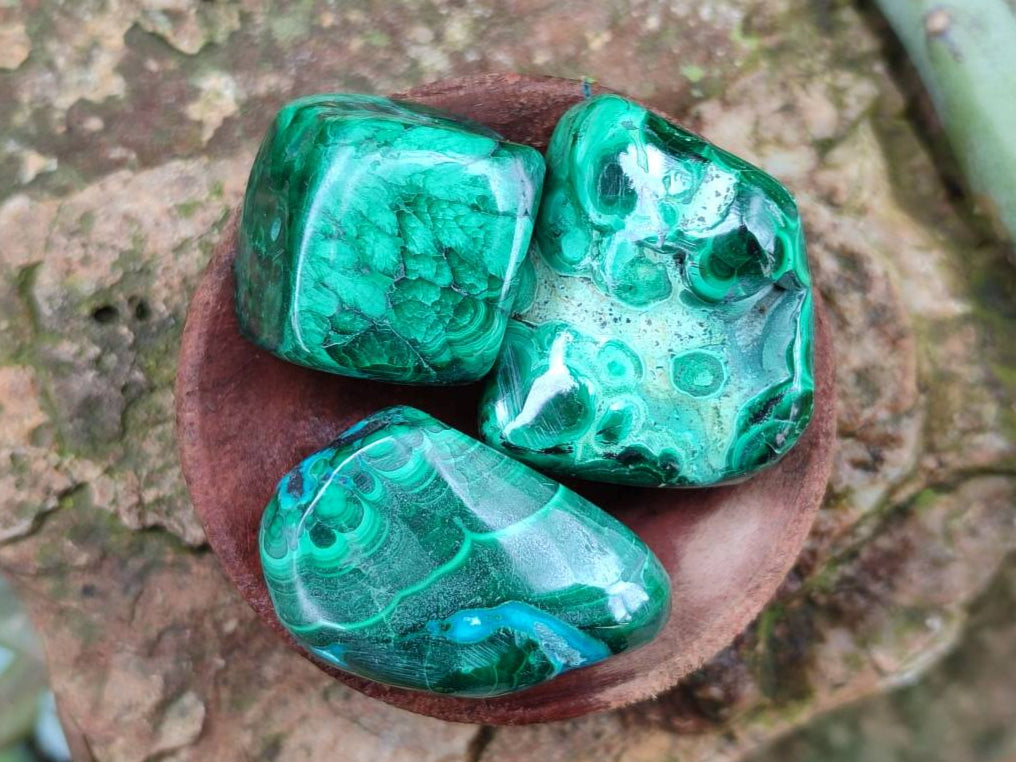 Polished Malacolla Free Forms x 35 From Kulukuluku, Congo - Toprock Gemstones and Minerals 