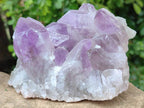 Natural Jacaranda Amethyst Quartz Clusters x 2 From Mumbwa, Zambia - Toprock Gemstones and Minerals 