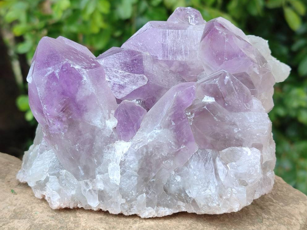 Natural Jacaranda Amethyst Quartz Clusters x 2 From Mumbwa, Zambia - Toprock Gemstones and Minerals 