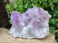 Natural Jacaranda Amethyst Quartz Clusters x 2 From Mumbwa, Zambia