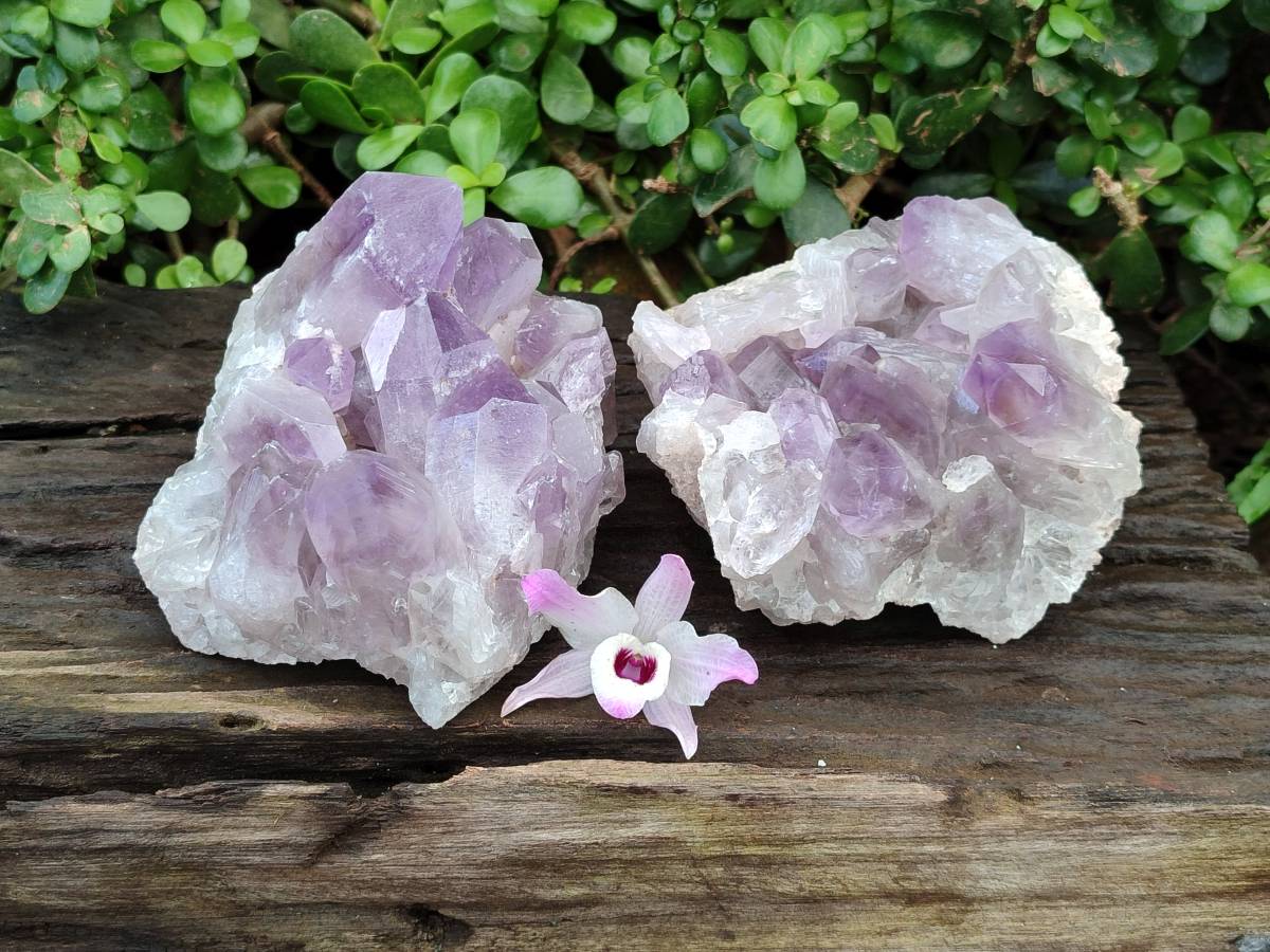 Natural Jacaranda Amethyst Quartz Clusters x 2 From Mumbwa, Zambia - Toprock Gemstones and Minerals 
