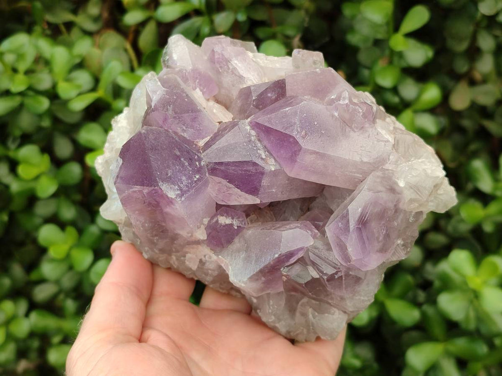 Natural Jacaranda Amethyst Quartz Clusters x 2 From Mumbwa, Zambia - Toprock Gemstones and Minerals 