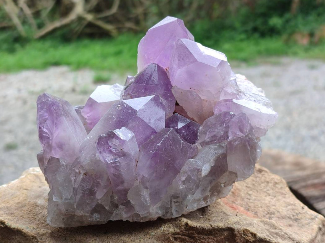 Natural Jacaranda Amethyst Quartz Clusters x 2 From Mumbwa, Zambia - Toprock Gemstones and Minerals 