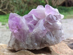 Natural Jacaranda Amethyst Quartz Clusters x 2 From Mumbwa, Zambia - Toprock Gemstones and Minerals 