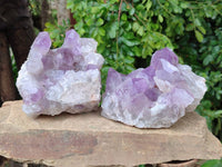 Natural Jacaranda Amethyst Quartz Clusters x 2 From Mumbwa, Zambia