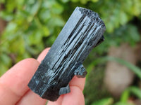 Natural Schorl Black Tourmaline with Associated Minerals x 6 From Erongo, Namibia