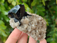 Natural Schorl Black Tourmaline with Associated Minerals x 6 From Erongo, Namibia