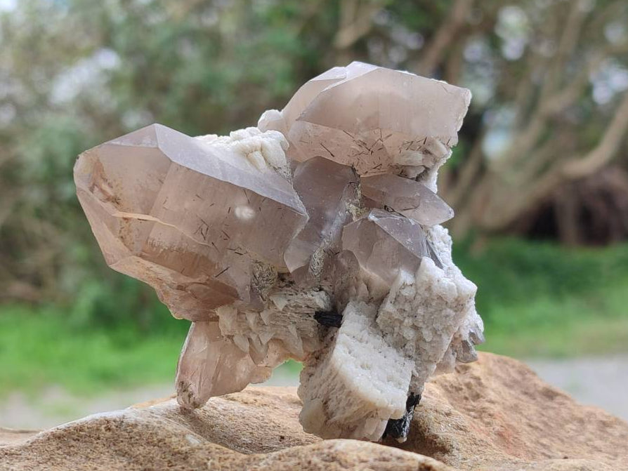 Natural Schorl Black Tourmaline with Associated Minerals x 6 From Erongo, Namibia - Toprock Gemstones and Minerals 