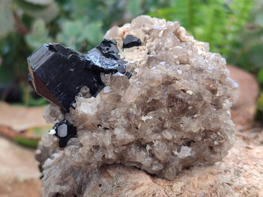 Natural Schorl Black Tourmaline with Associated Minerals x 6 From Erongo, Namibia - Toprock Gemstones and Minerals 