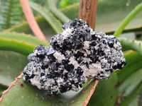 Natural Schorl Black Tourmaline with Associated Minerals x 6 From Erongo, Namibia