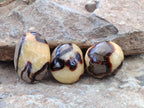 Polished Septerye Palm Stones x 12 From Mahajanga, Madagascar - Toprock Gemstones and Minerals 