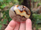 Polished Septerye Palm Stones x 12 From Mahajanga, Madagascar - Toprock Gemstones and Minerals 