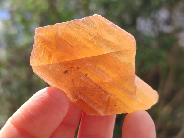 Natural Honey Aragonite Specimens x 74 From Namibia