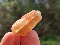 Natural Honey Aragonite Specimens x 74 From Namibia