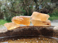 Natural Honey Aragonite Specimens x 74 From Namibia